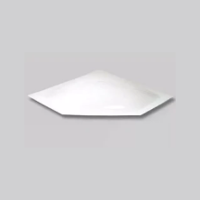 Outside Neo Angle Skylights