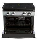 InVision Gas Range Oven Interior View with Wire Rack and Convection Fan | United RV Parts