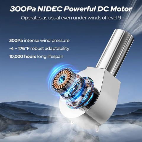 Fogatti 300Pa NIDEC DC Motor - Cutaway View Showing Internal Components | United RV Parts