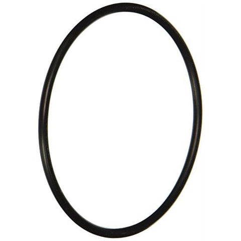 Black Rubber WaterPur RCS O-Ring Filter Housing Seal - Angled View | United RV Parts