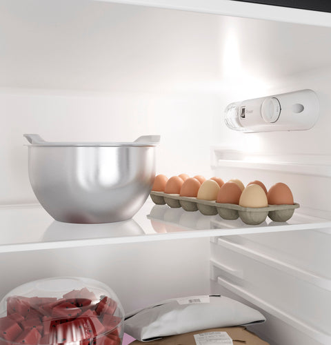 GE Profile | RV Refrigerator | PPV10R5YRSS | 9.8 Cubic Foot | 12 Volt DC | Stainless Steel